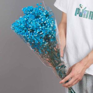 Natural Fresh Dried Preserved Real Flowers Gypsophila 120g Bleached Dyed Color DIY Material Bouquet Office Wedding Home Decor