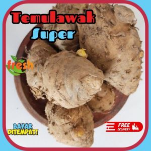 temulawak 1 KG original   cheapest ginger weighs 1 KG