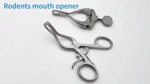 QSWTITAN Stainless Steel RodentMouth Opener Oral Exams for Cat Rabbit HamsterCheek Dilator Autoclaveable