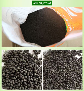 3 Bông lọc bể cá + Đất nền thủy sinh DIA MAX- AQUA 2KG giàu dinh dưỡng giúp cây phát triển mạnh. Hàng mới về