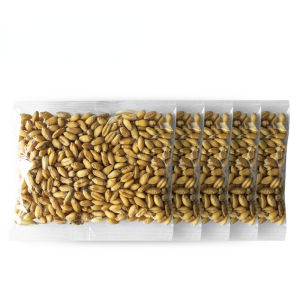 SKISOPGO Cat Grass Seeds Box Soilless Hydroponic Planting Organic Pet Cat Treat Snack Grass