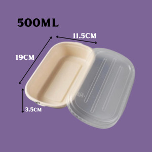Oval Lunch Box with PP Lid Eco-Friendly Sugarcane Bagasse Container for Salad and Food Storage