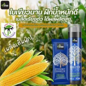 โฟร์ทรี+บู๊สเตอร์ คู่หูพลังคูณ 4 อินทรีย์ธรรมชาติสูตรอิออน เร่งราก โตเร็ว เขียวนาน เพิ่ม%แป้ง เพิ่มน้ำยาง นวัตกรรมใหม่จากอิสราเอล ใช้ได้กับพืชทุกชนิด (1 ชุดใช้ได้ 20 ไร่ ) 4Treeของแท้ 100%