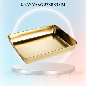 Khay Đựng Dụng Cụ Spa 23x18x3 cm Khay Vàng Đựng Dụng Cụ Y Tế Bền Đẹp Sang Trọng