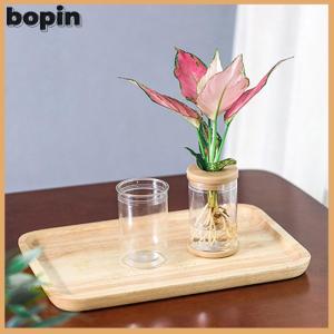 Bopin ขี้เกียจโปร่งใสกระถาง hydroponic ดูดซึมน้ำอัตโนมัติ