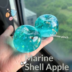 Hồng hốc đại dương Shell Squishy đá viên đồ chơi giảm căng thẳng cho người lớn và trẻ em-Vui vẻ cảm giác chơi với ngôi sao lấp lánh và vỏ sò