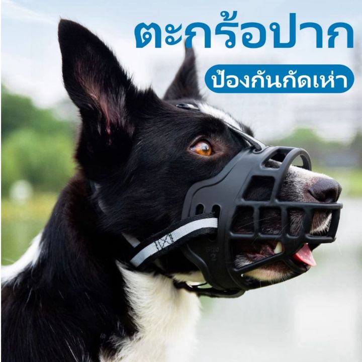 ตระกร้อครอบปากสุนัข 🐕 ป้องกันการกัด & เห่า 🚫 ป้องกันการกินแบบสุ่ม 🍖 ใส่ ...