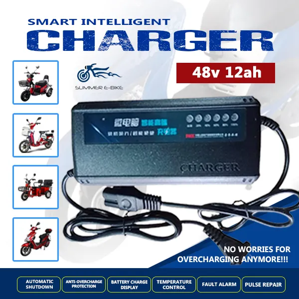 48 volt ebike discount charger