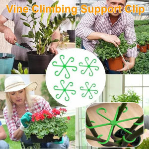 Plant Vine Fixed Clip Vine Climbing Support Clip Fruit Vegetable Staple Branch Binding Clamp