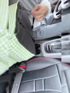 สัตว์เลี้ยงข้ามพรมแดน รถ คอกสุนัข การควบคุมกลาง คอกแมว เบาะนั่งในรถ กระเป๋าสัตว์เลี้ยงสำหรับสัตว์เลี้ยงทั่วไป