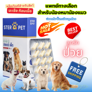 สินค้าขายดี !!! สเตอร์เพ็ท STERPET มะเร็ง เนื้องอก แผลอักเสบ สร้างภูมิคุ้มกัน ให้กับน้องหมา น้องแมว ที่คุณรัก พร้อมส่งในไทย ส่งตรงจากบริษัท