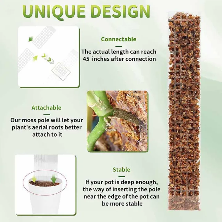 LZD%2024%20Inch%20Plant%20Plastic%20Moss%20Pole%20Plant%20Pile%20and%20Mud%20Moss%20Support%20Climbing%20Plant%20Pole%20Moss%20Pole%20-%20Image%203