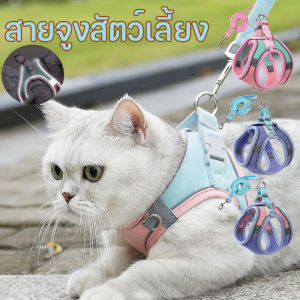 （Dream Nest）สายจูงสัตว์เลี้ยง สายจูงแมวรัดอก เสื้อรัดอกแมว 3in1 ปรับระดับได้ สะท้อนแสงกลางคืน