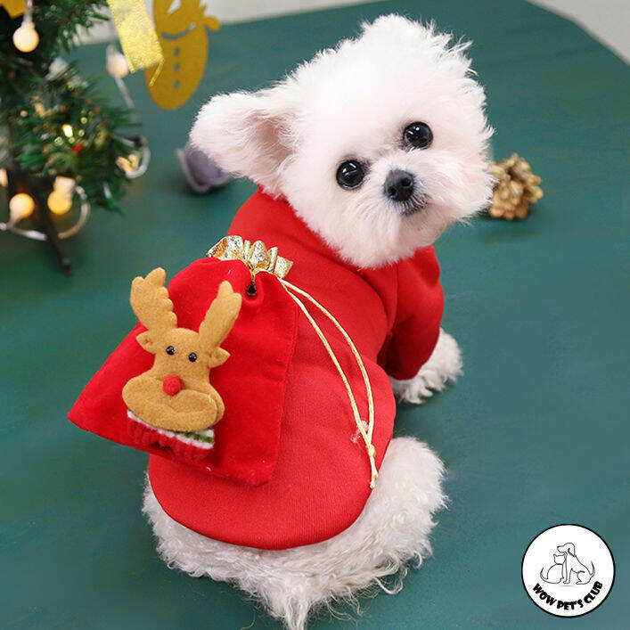 Cute dogs in outlet christmas outfits