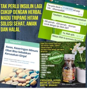 MADU TRIPANG HITAM AMPUH MENGOBATI MAAGH KRONISJANTUNGDIABETESKOLESTEROLSTROKEGINJALLIVER DLL