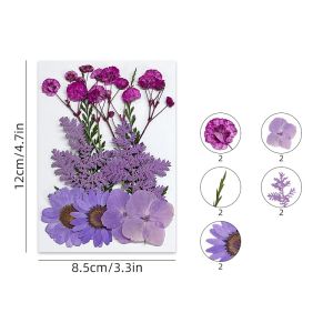 Bunga Kering/Pressed Flower Mixed Natural Dried Flowers/Natural Dried Flowers/Pressed Flower Diy Decor Untuk Diy Art Floral Decors