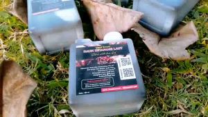 ekstrak ketapang laut 1liter super pekat rahasia channa kontes