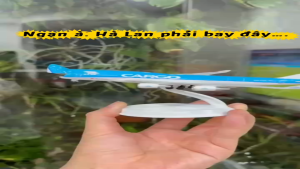 Mô hình máy bay Boeing 747/400 Cargo dài 20cm mở được khoang mũi