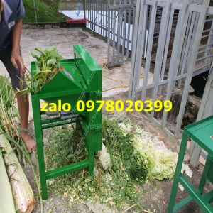 Máy băm cỏ voi  cây ngô ủ chua làm thức ăn cho vật nuôi