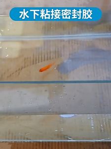 Instant Glue Gel Fast Setting Transparent Safe 150ml Aquarium Glue for Moss and Fish Tank Repair
