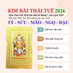Kim bài thái tuế 2026 bỏ ví ốp điện thoại mang lại may mắn tài lộc cho 5 tuổi tý sửu mão ngọ dậu Trầm Hương Hà Xá