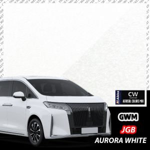 [ GWM Wey G9 Touch Up Paint All Colors ] 🚗 CW Aikka DIY Aerosol Spray 370ml Cat Kereta Lama