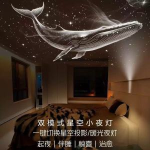 SG READY STOCK Galaxy Star Projector Night Light USB Starry Sky Lamp Portable Star Light for Bedroom Sleep & Decoration