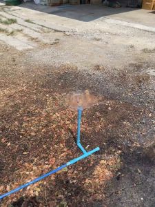 (แพค1ตัว) ชุดสปริงเกอร์ แบบตัวที  ต่อสายยางขนาด4หุนหรือ5หุน จุกใบบัวทองเหลืองปรับระดับได้ กระจายน้ำแบบละออยฝอย รัศมีน้ำกว้าง ประหยัดน้ำ ส่งไว ส่งทุกวัน ถูกคุ้ม ราคาโรงงาน