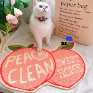 Microfiber Bathroom Mat Thick Anti-slip Doormat for Living Bedroom Floor Rug Soft Smooth B-100