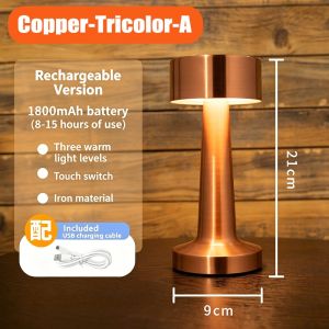 Hakimi Rechargeable Cordless Table Lamp 2200mAh Touch Control 3-Level Warm Light USB Charging Metal Bedside Desk Lamp for Bedroom Cafe Bar
