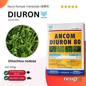 Ancom DIURON 80 500g Racun Rumpai Rumput Sambau Sawit/ Nanas/ Getah / Tebu Herbicide Weed Killer Rubber / Palm Oil / Pineapple 除草剂 / 杂草 用于油棕 / 黄梨 / 橡胶