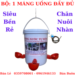 MÁNG UỐNG NƯỚC TỰ ĐỘNG CHO GÀ CON NGAN VỊT CON VÔ CÙNG HIỆU QUẢ.