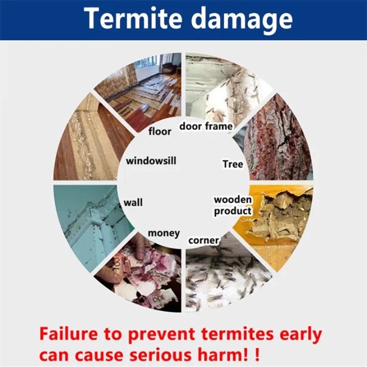 25g/75g%20Termites%20Killer%20Powder%20Termite%20Baiting%20System%20Anti%20Anay%20Treatment%20Powder%20Bait%20Pest%20Control%20Termite%20-%20Image%202