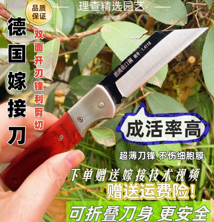 Fruit tree grafting special knife high hardness front steel German