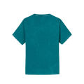 Anta unisex kyrie Irving T-Shirt 1725b1120 legit cửa hàng chính thức. 