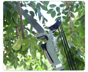 KBN-08 Gergaji Gunting Pemotong Batang dan Dahan Ranting Tinggi Dengan Tali Kualitas Bagus Tree Pruner