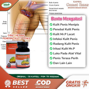 Obat Menebalkan Kulit MR.P Lecet Tipis Luka Di Area Vital Infeksi Penis Bengkak Kapsul Gamat Emas