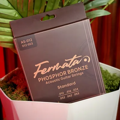 Fermata Phosphor Bronze Acoustic Guitar Strings