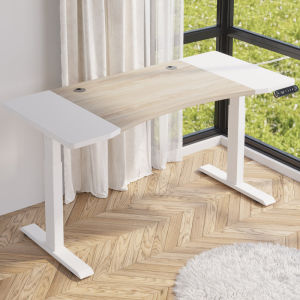 Officebus Height Adjustable Ergonomic Electric Table 63 inches 1.6M Double motor Quiet and smooth Curved Edge Desktop