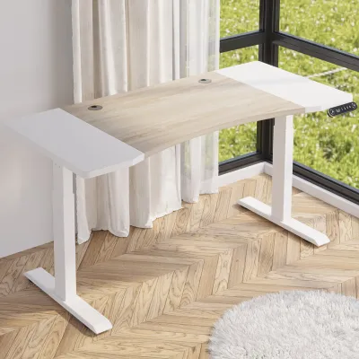 Mxtark 63 inches Electric Desk 1.6M Electric Standing Desk Dual Motor Computer Table Adjustable Height Electric Standing Desk ANew E-Sports Gaming Desk