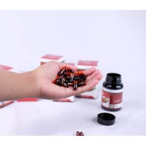 Obat Bab Berdarah & OilFit: Solusi Terbaik untuk Masalah Saluran Pencernaan