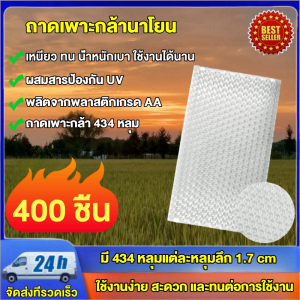 ถาดเพาะกล้านาโยน (Seedling tray)  434 มีให้เลือกซื้อ 10-700 ชิ้น ถาดนาโยน ถาดเพาะปลูก ถาดเพาะกล้า ถาดเพาะนาโยน เพาะถาดเพาะนาโยน เพาะกล้าข้าว