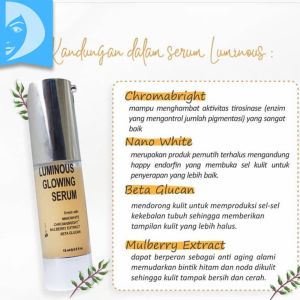 Ms Glow Luminous Glowing Serum / Ms Glow Luminous Serum / Serum Penghilang Bekas Jerawat dan Flek Hitam / Serum Glowing Bekas Jerawat