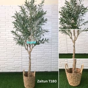 Pohon Artificial Tanaman Hias Zaitun Olive X3 T140 & T180 Latex Cover Eceng Gondok Handle M Dekorasi Ruangan Rumah