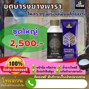 ชุดบำรุงยางพารา ชุดใหญ่ โฟร์ทรี 1 ซอง+แบล็คใหญ่1000 ml 1 ขวด ต้นยางใหญ่สมบรูณ์ น้ำยางเยอ แก้ปัญหายางตายนึ่ง ช่วยเพิ่ม%น้ำยาง ป้องกันโรคโคนเน่า ท่อน้ำเลี้ยงเน่า รากเน่า เชื้อรา ของแท้ 100%