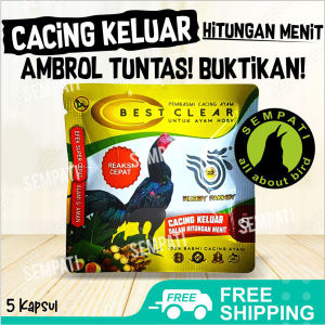 SEMPATI Best Clear Sachet Isi 5 Kapsul Obat Cacing Ayam Obat Ayam Kurus Cacingan Best Clear Kapsul Rubby Pakhoy Basmi Cacing Obat Herbal Ayam Hoby Anti Lesu Lemas Pucat