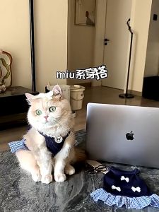 Cat school uniform skirt - silk bow design with narrow straps anti-shedding summer pet fashion (suitable for dogs)
