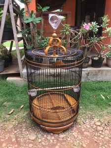 Sangkar murai kayu jati laminasi
