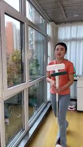 SG NEW Window Cleaner Wiper Long Handle Window Glass Cleaning Brush Wiper with Sewage Collector