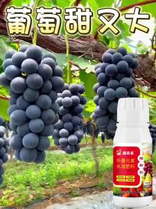 💗🙋♀️💗柑橘脱酸剂降酸剂增甜去涩农用蜜柚砂糖橘柑橘增糖甜蜜素超甜素